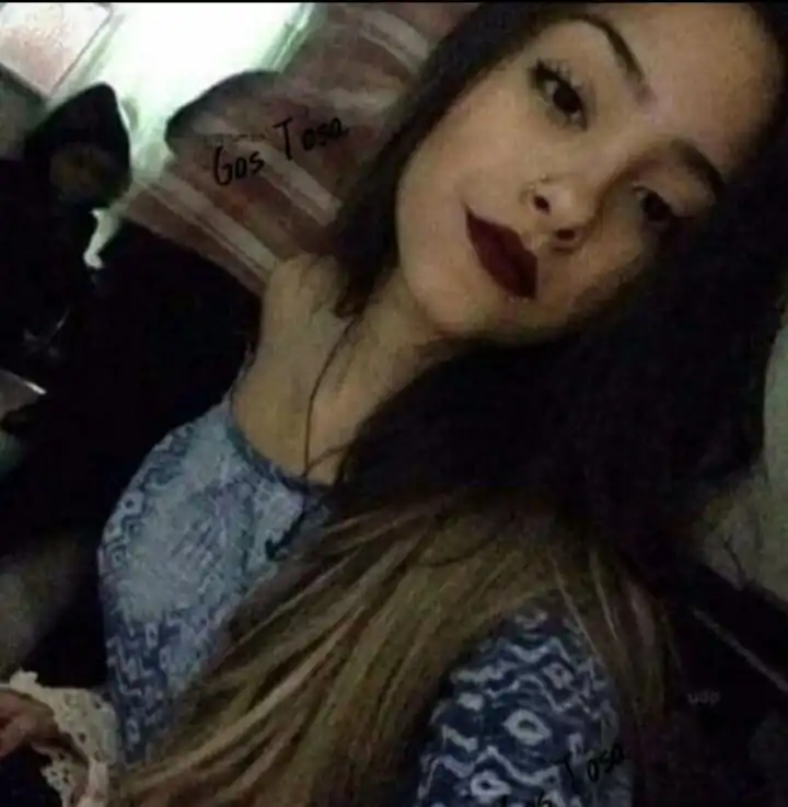 limpeza de sofa em goiania